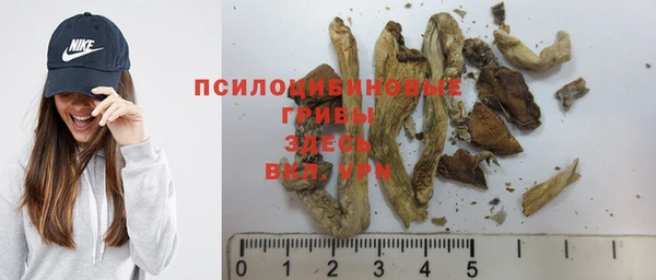 гидропоника Беломорск
